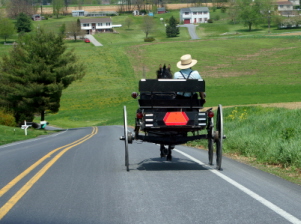 amish vs mennonite